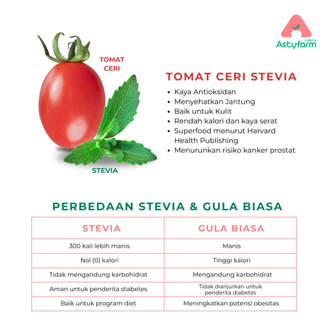 Cherry Tomato Stevia Classie